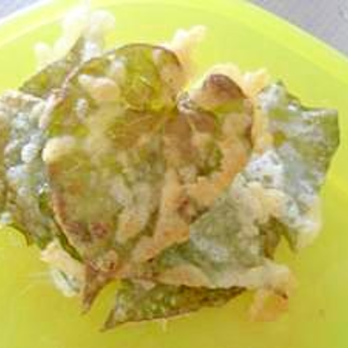 美容と健康に どくだみの天ぷら レシピ 作り方 By ぱぷぺぽ 楽天レシピ 美容と健康に どくだみの天ぷら レシピ 作り方 By ぱぷぺぽ 楽天レシピ